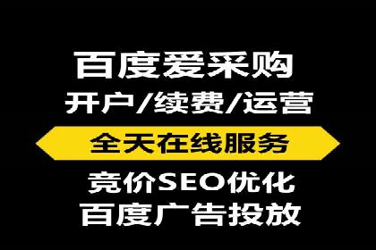 百度竞价代运营公司成功案例揭秘：策略与执行